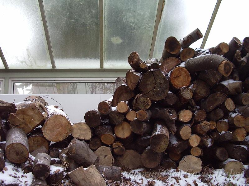 Wood pile, Royal Botanic Gardens Kew IMGP6385.JPG